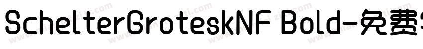 SchelterGroteskNF Bold字体转换